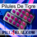 Tiger Pills 10